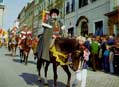 Znojemsk� vinobran� - historick� pr�vod