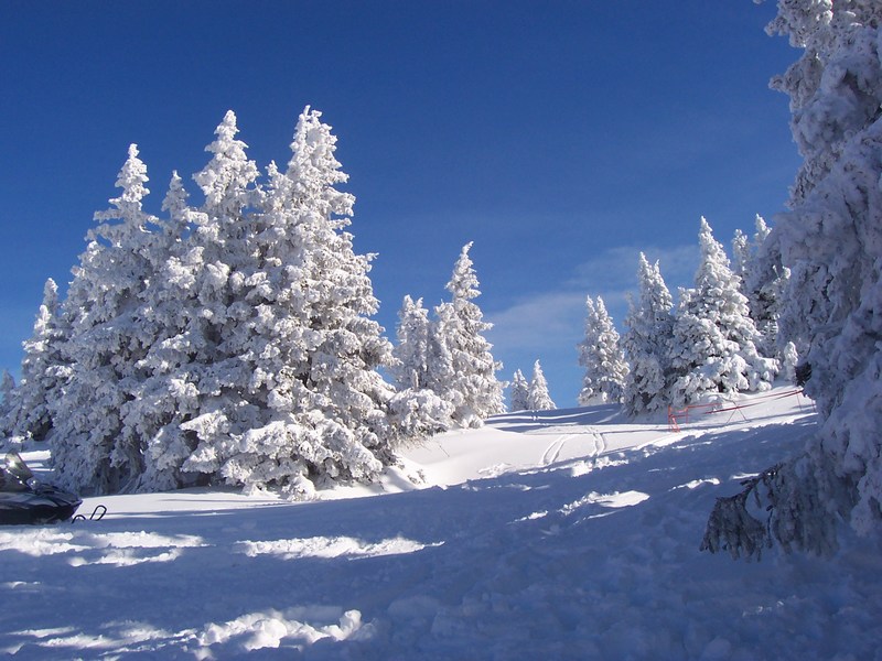 Stuhleck - m vdy dostatek snhu.